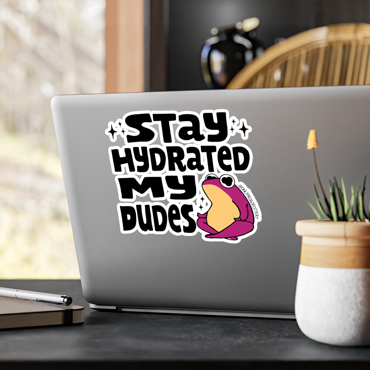 Frog Vinyl Decal Sticker – Cute Frog Design