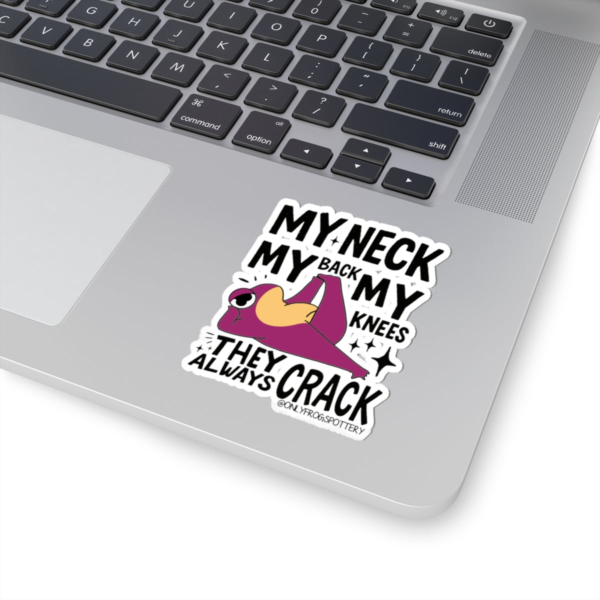 Frog Vinyl Decal Sticker – My Neck, My Back, My Knees They Always Crack