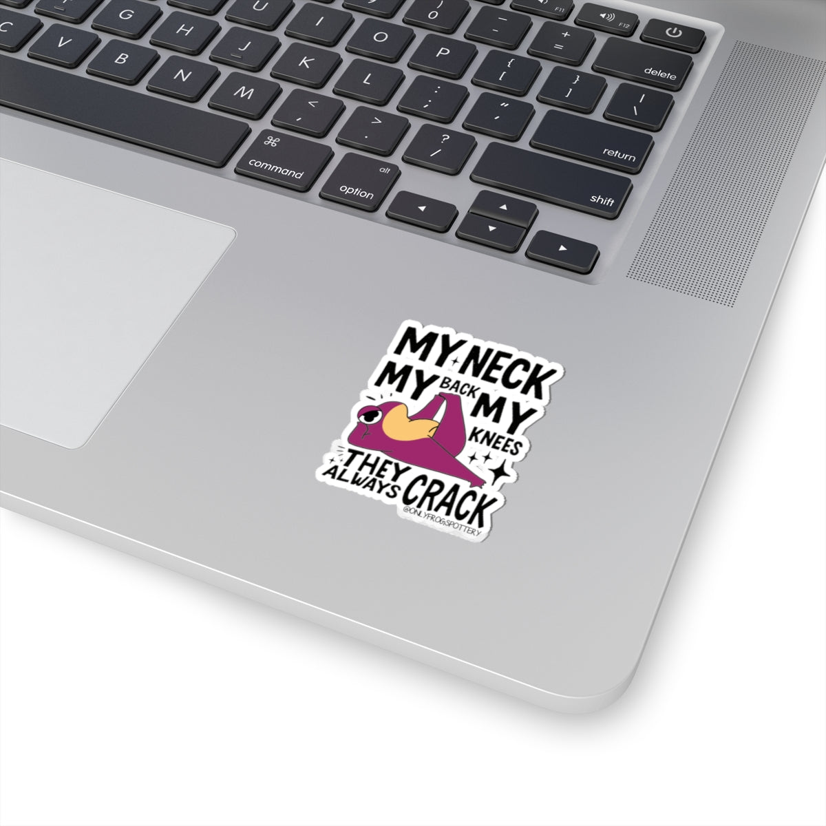Frog Vinyl Decal Sticker – My Neck, My Back, My Knees They Always Crack