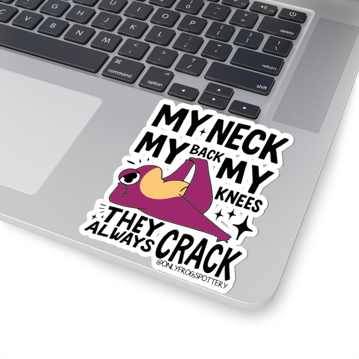 Frog Vinyl Decal Sticker – My Neck, My Back, My Knees They Always Crack